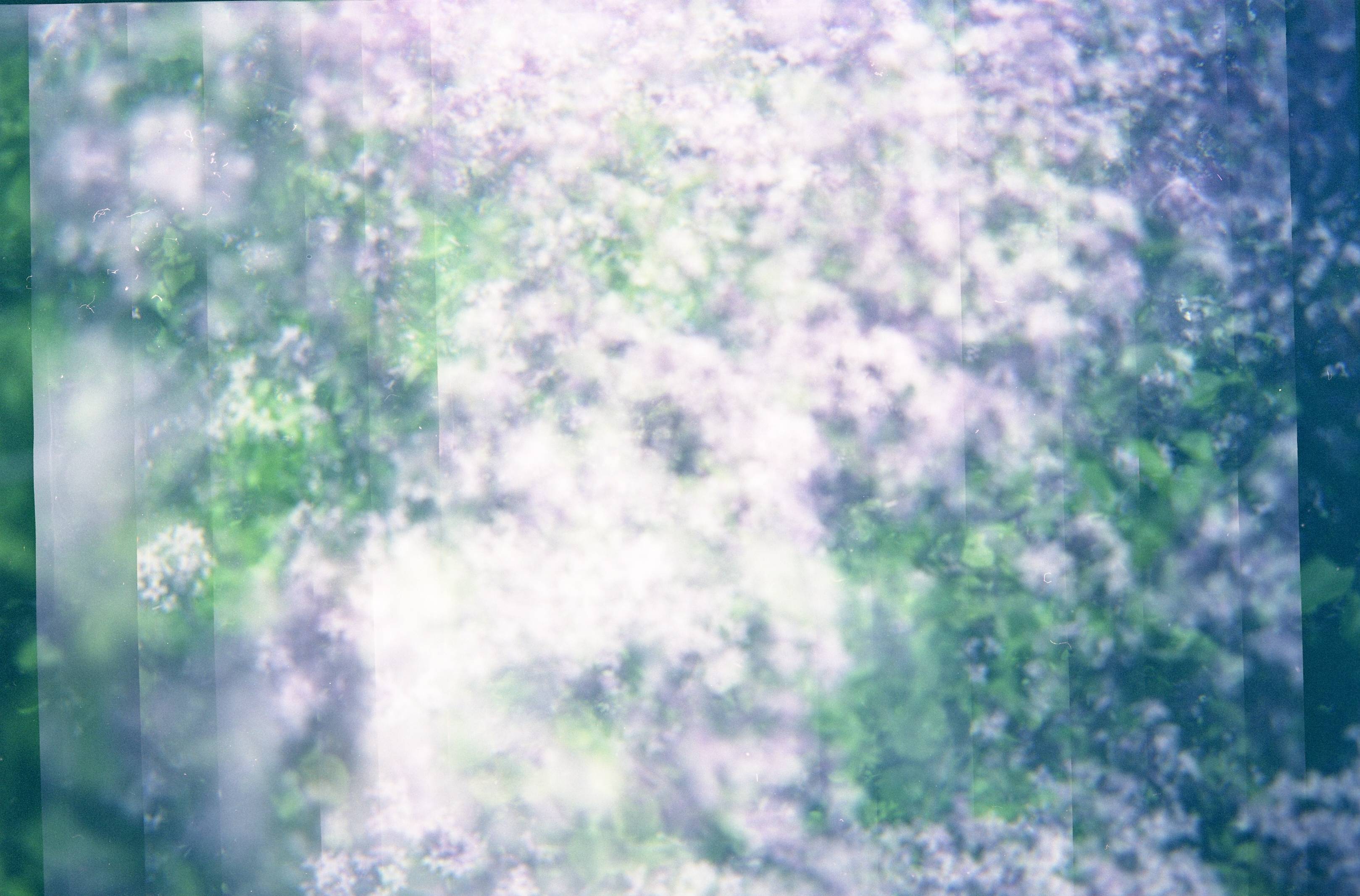 Color 4