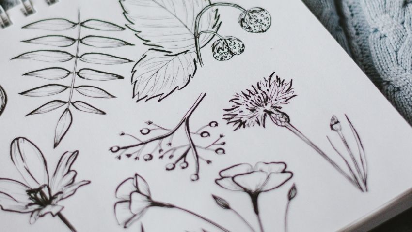 What techniques have you learned recently?instagram: 15 Expert Pen And Ink Drawing Techniques Jae Johns