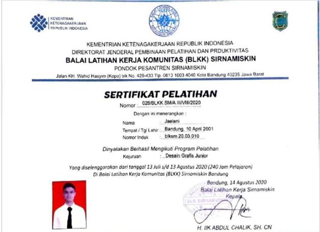 Portofolio Jaelani - Gorgeous Colorful Illustration - Mobile