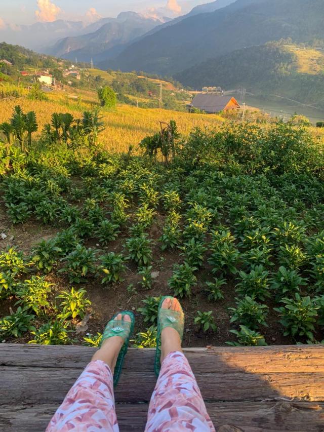 solo budget travel - homestay with a garden in Sapa