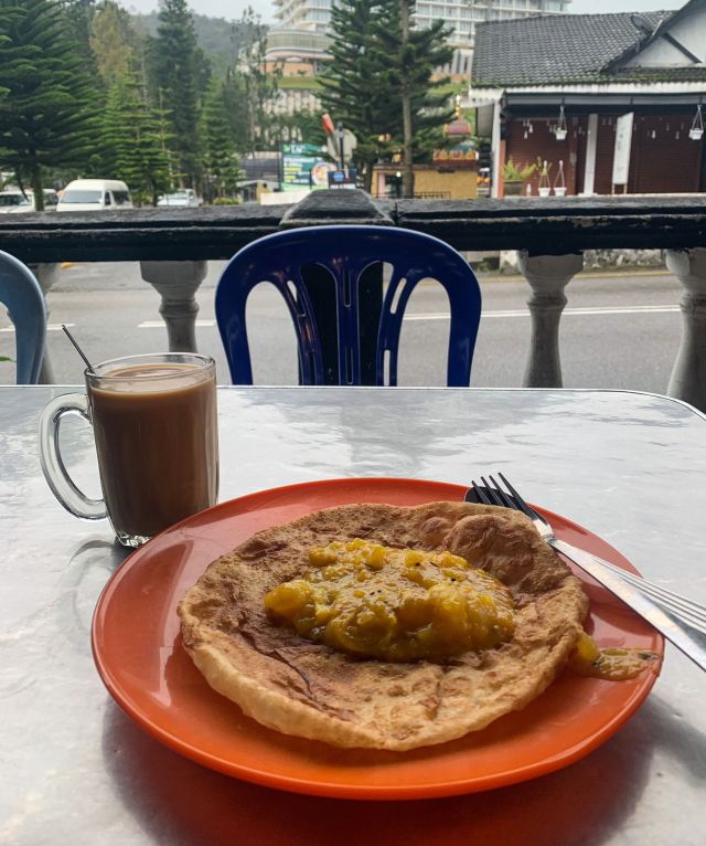 Good local Indian food at Cameron Highlands. Peaceful time alone to reflect and journal on whether I should continue on the path to become a vet student