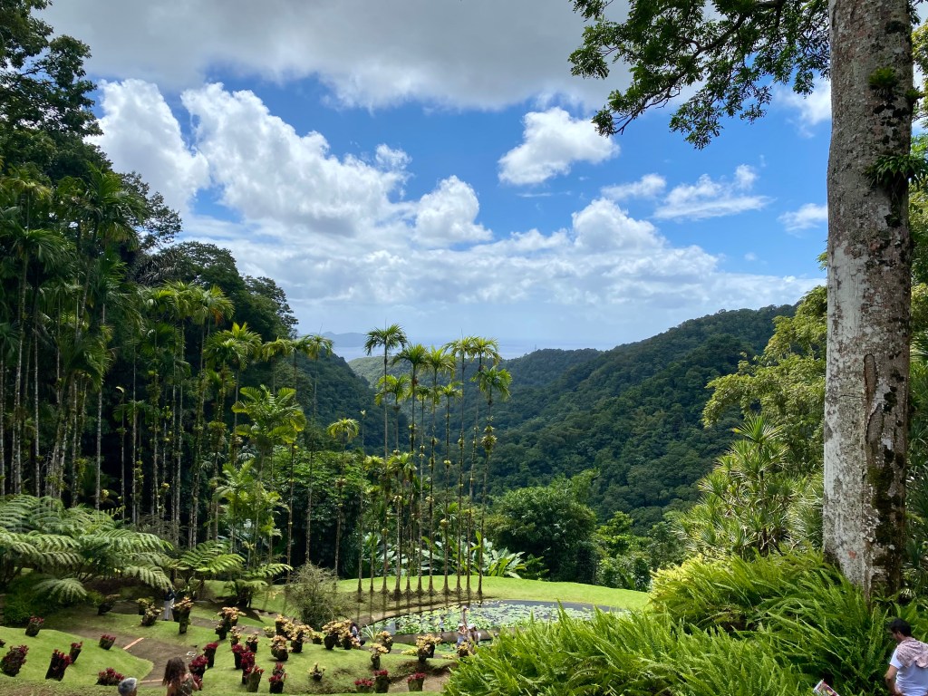 Jardin balata