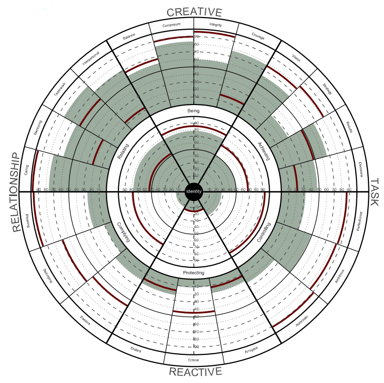 The Leadership Circle Profile