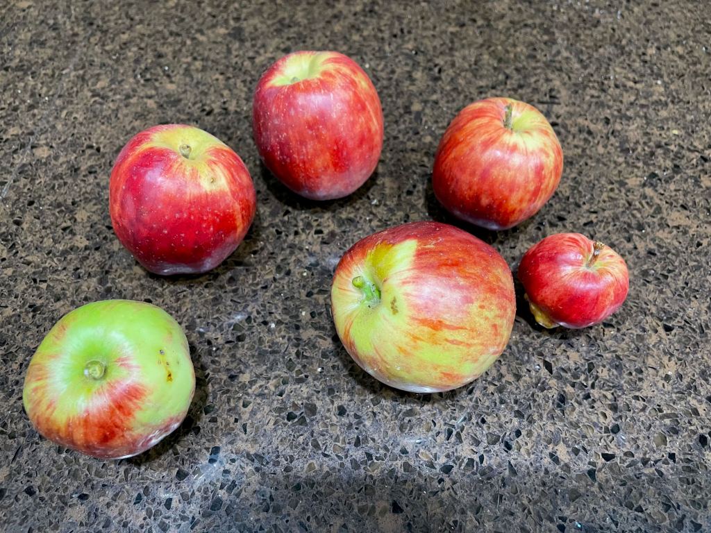 Home-grown apples
