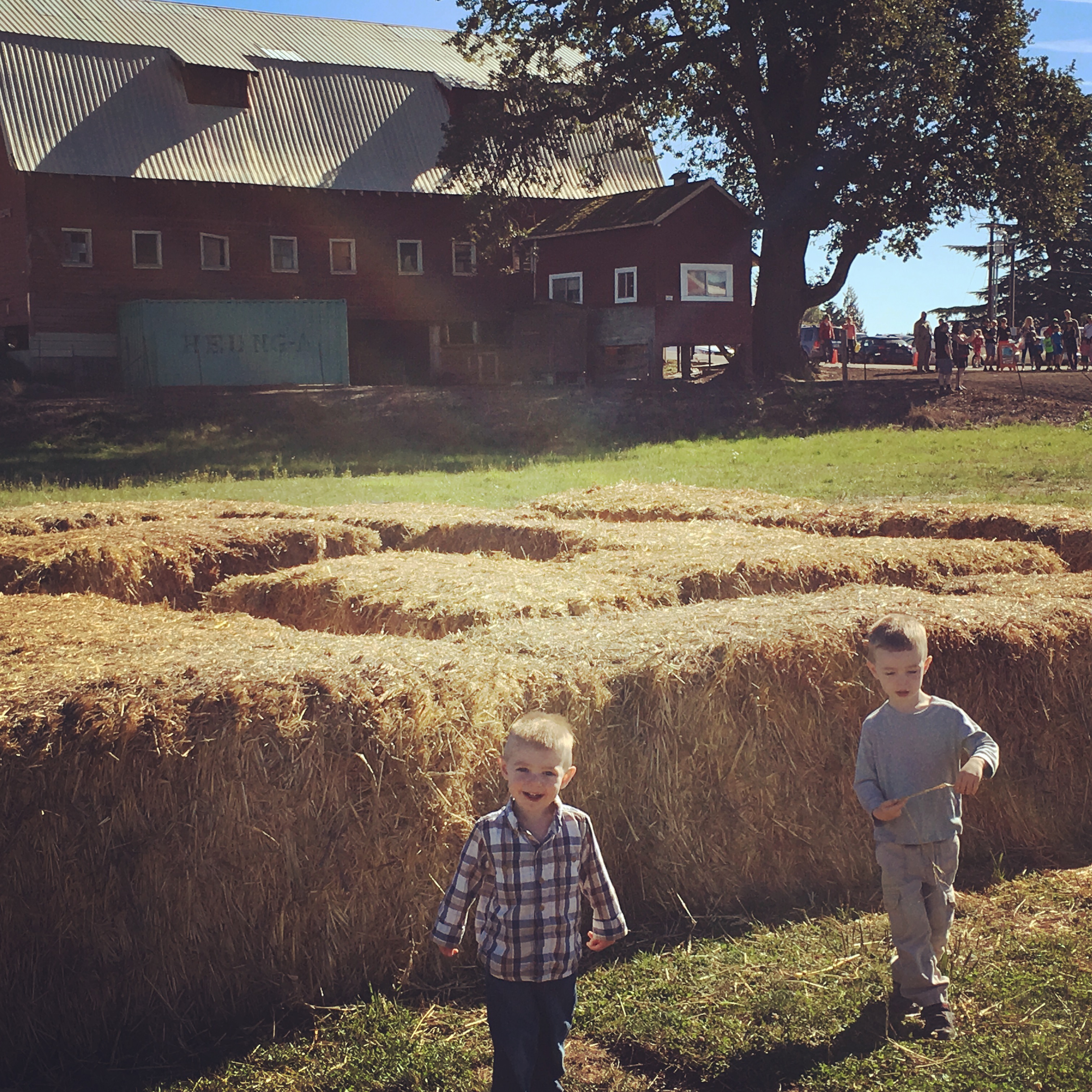 Pumkins took a backseat at The Pumpkin Patch to trying to fall off large bails of hay