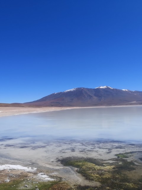 bolivia laguna blanco atacama