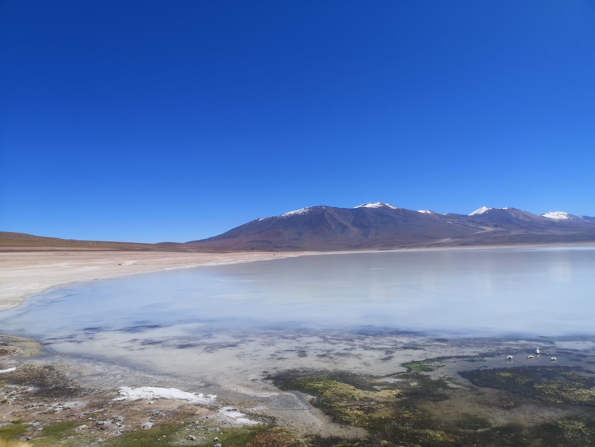 bolivia laguna blanco atacama