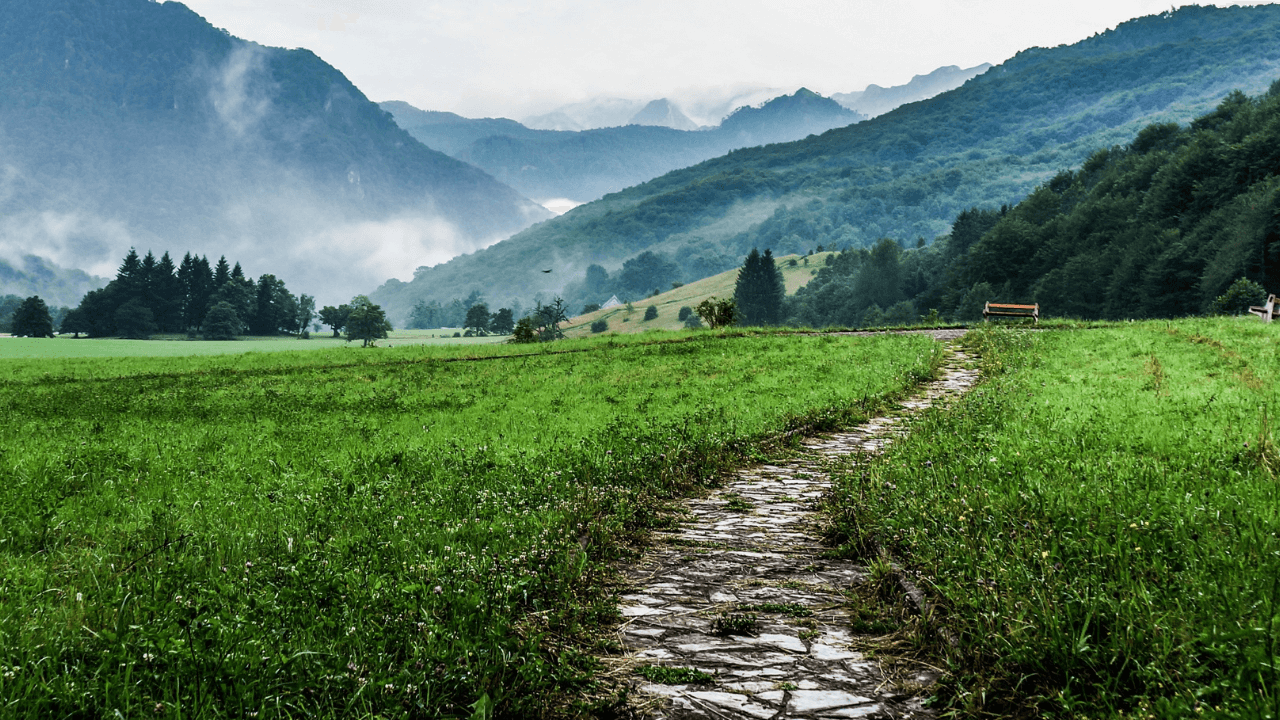 Old stone path through field of grass.