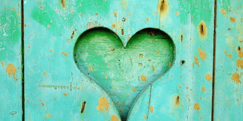 Heart carved into green wood.