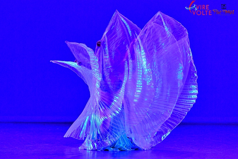 Ailes d'isis Amirat El Sahara