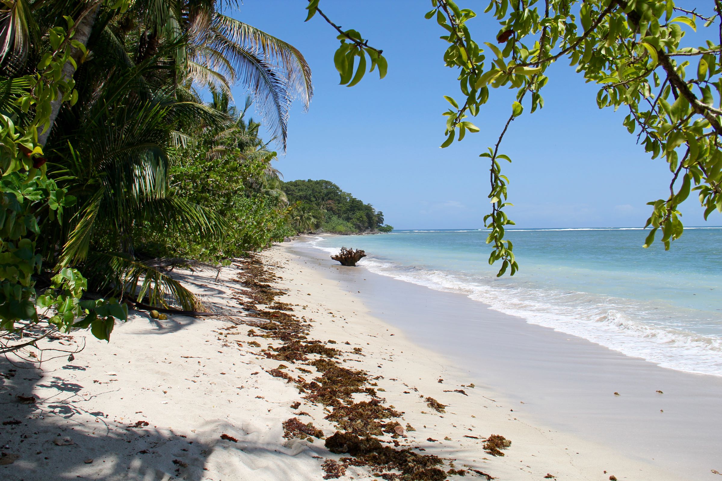 Het is een plek waar families en vrienden in het weekend samenkomen om te genieten van de . Strand im Nationalpark Cahuita, LimÃ³n, Costa Rica â¢ Jamane
