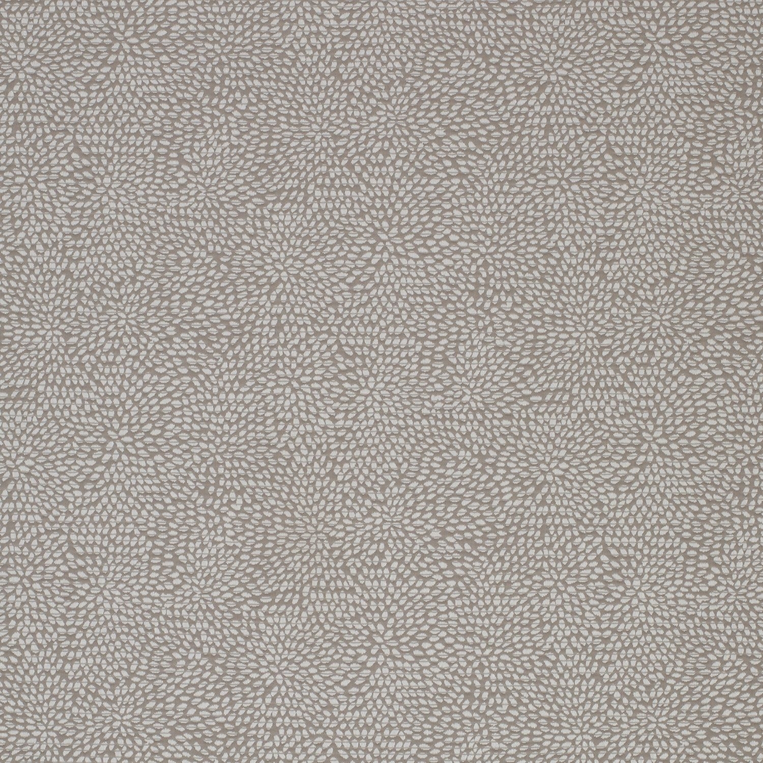 Corolla James Hare - Ocean Art Collection - 4K Quality