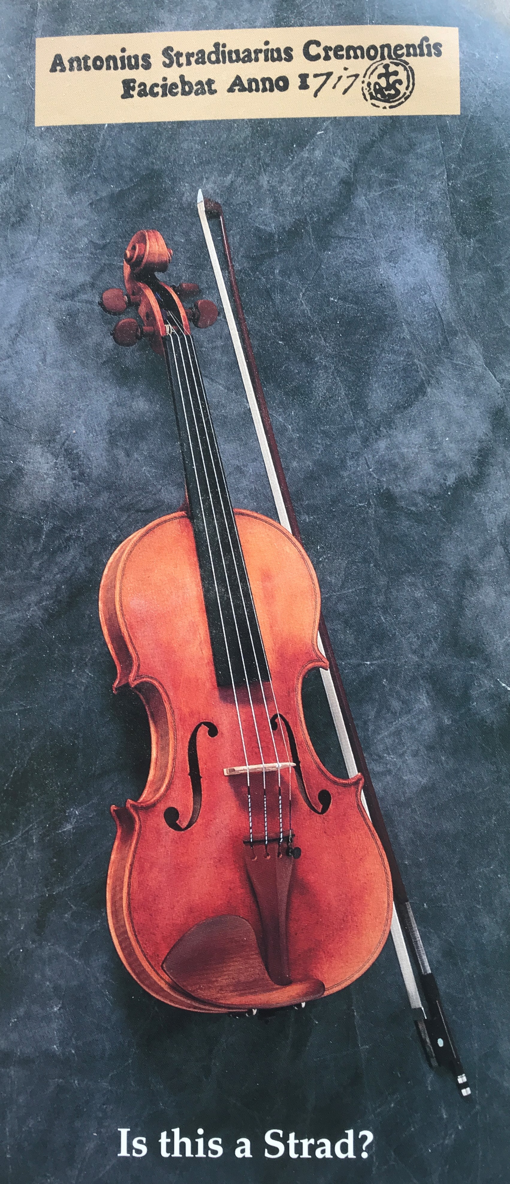 James Cave Violin Maker – Fine Handmade Violins, Violas, and Cellos
