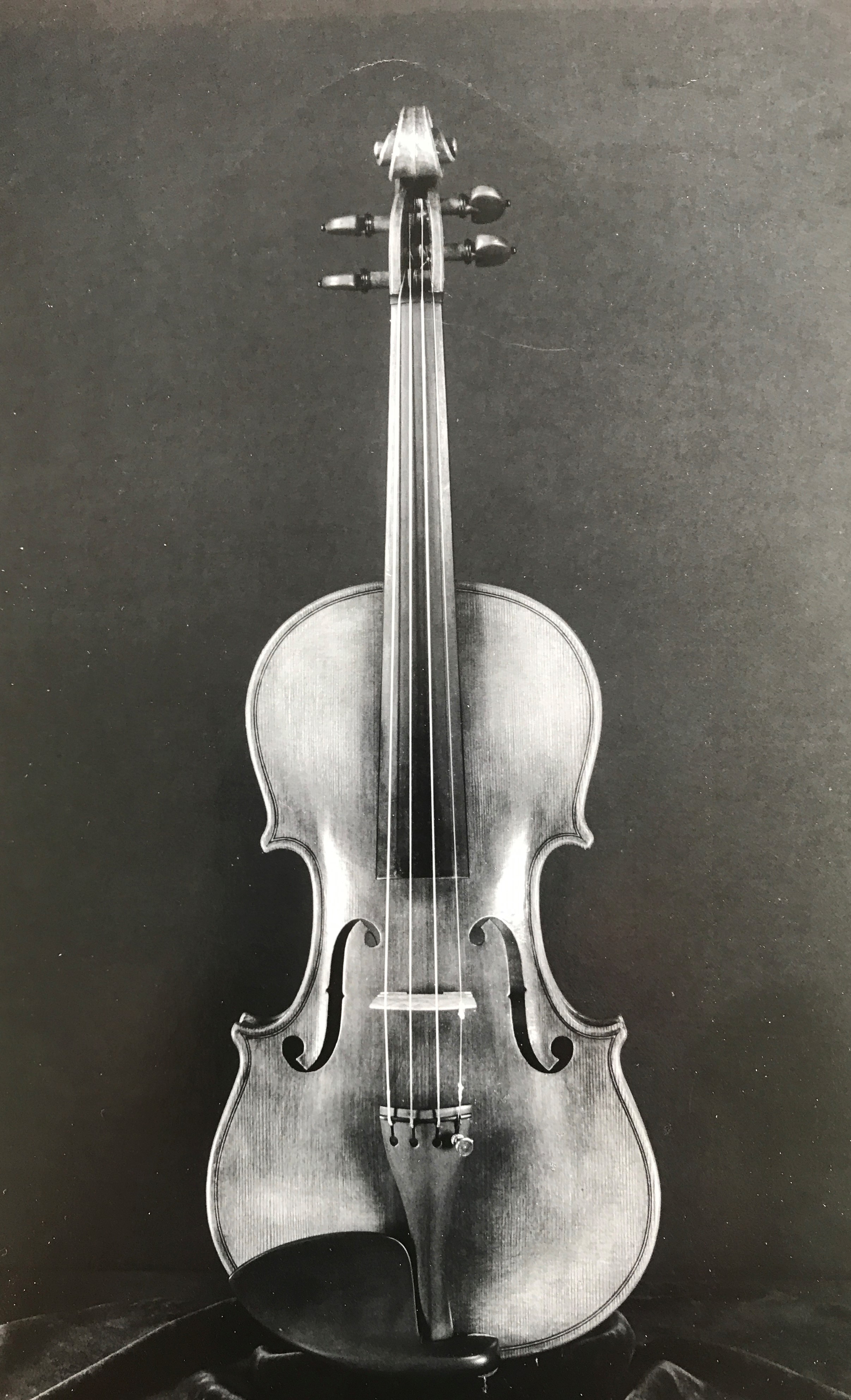 Photo Gallery – James Cave Violin Maker