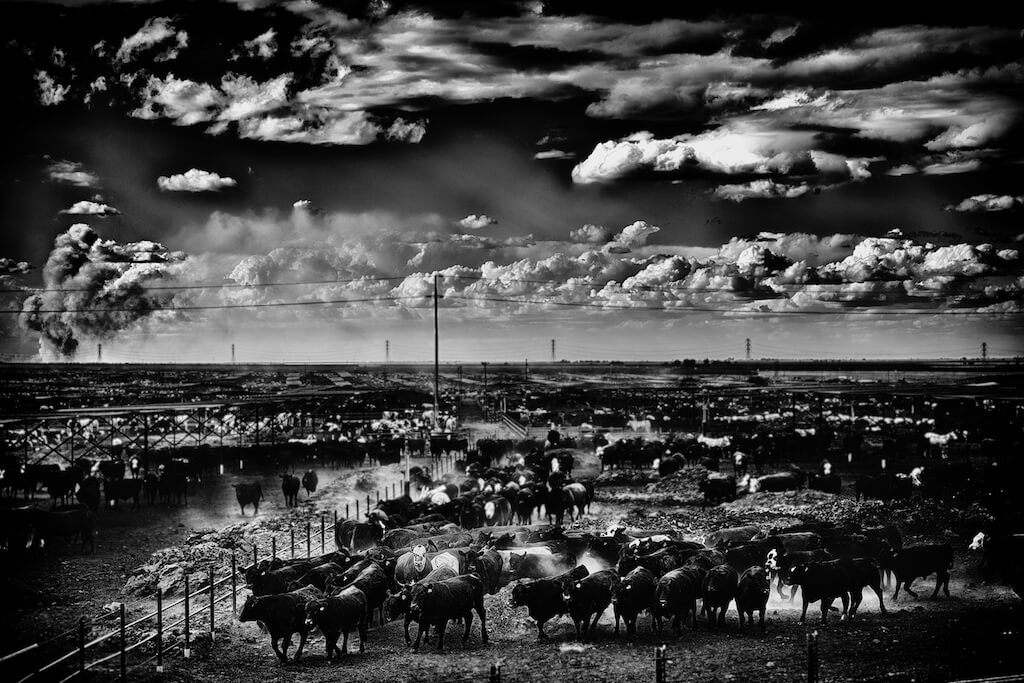 California Interstate 5 (I-5)