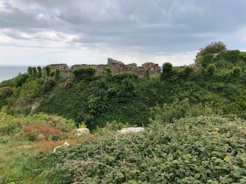 Hastings Castle