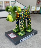 IMG_5414