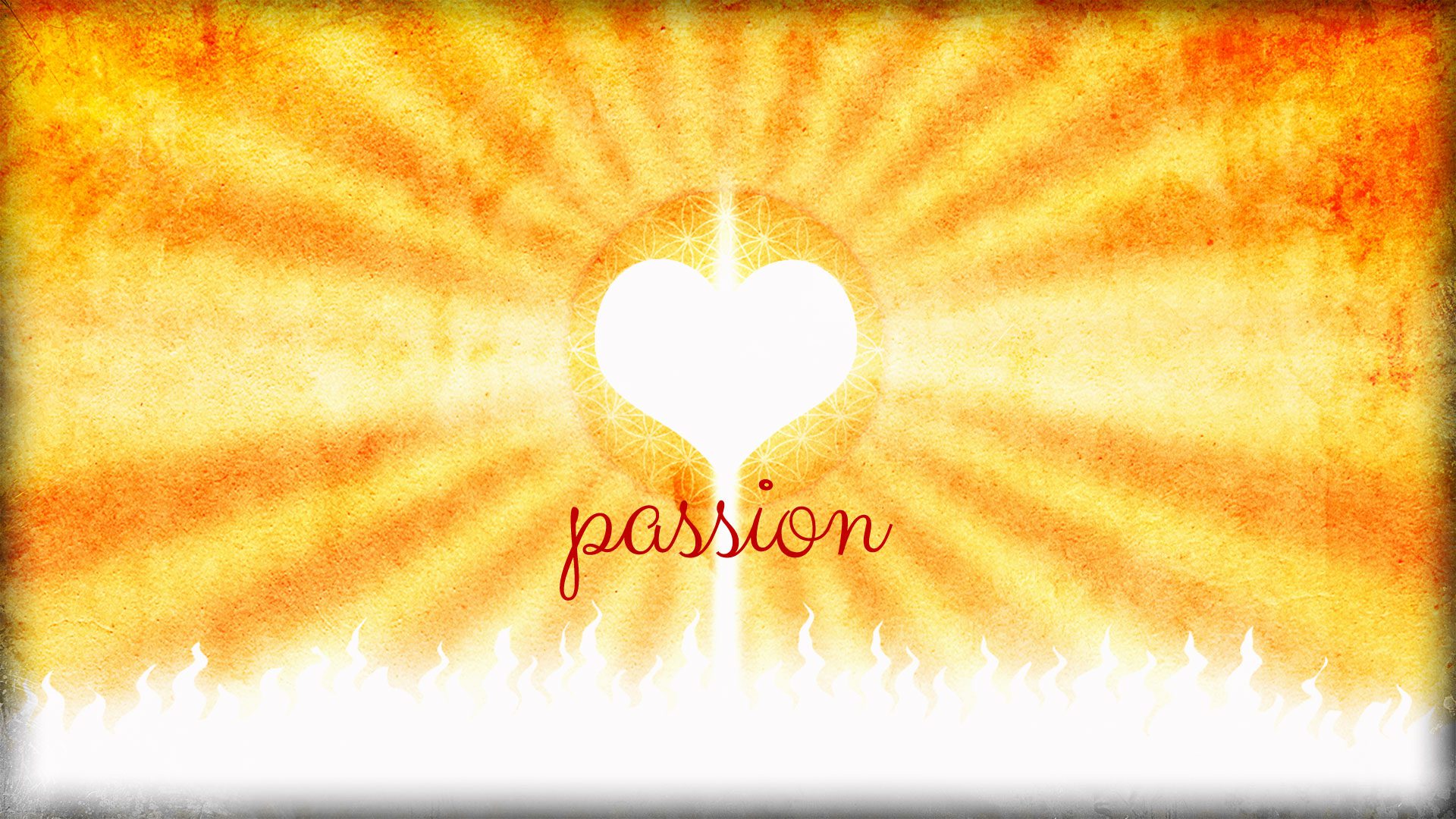 Chase your passion