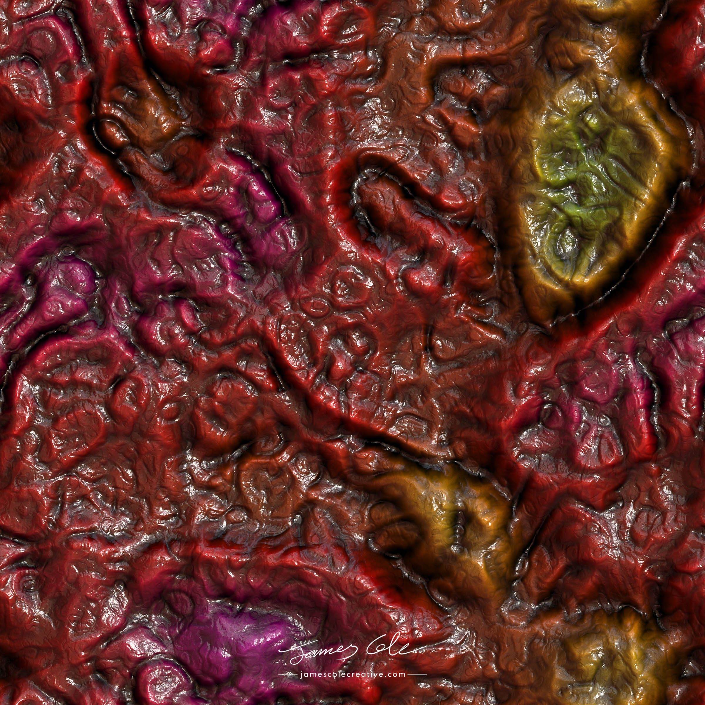 JCCI-100247-07-Rotten_Innards-2400px-Web