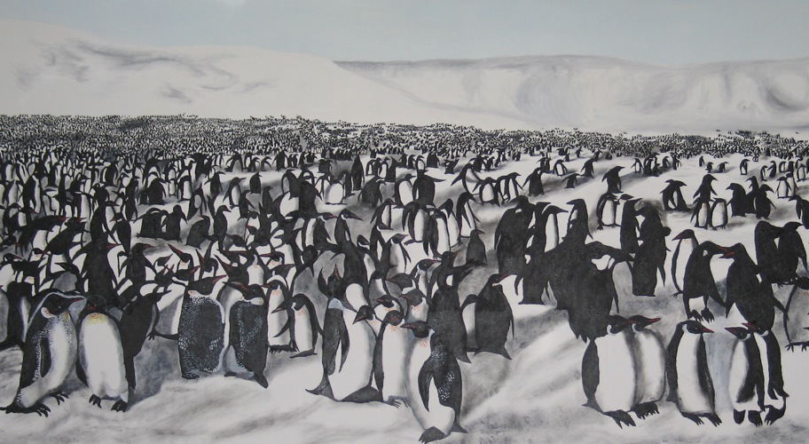 17Migration of Penguins
