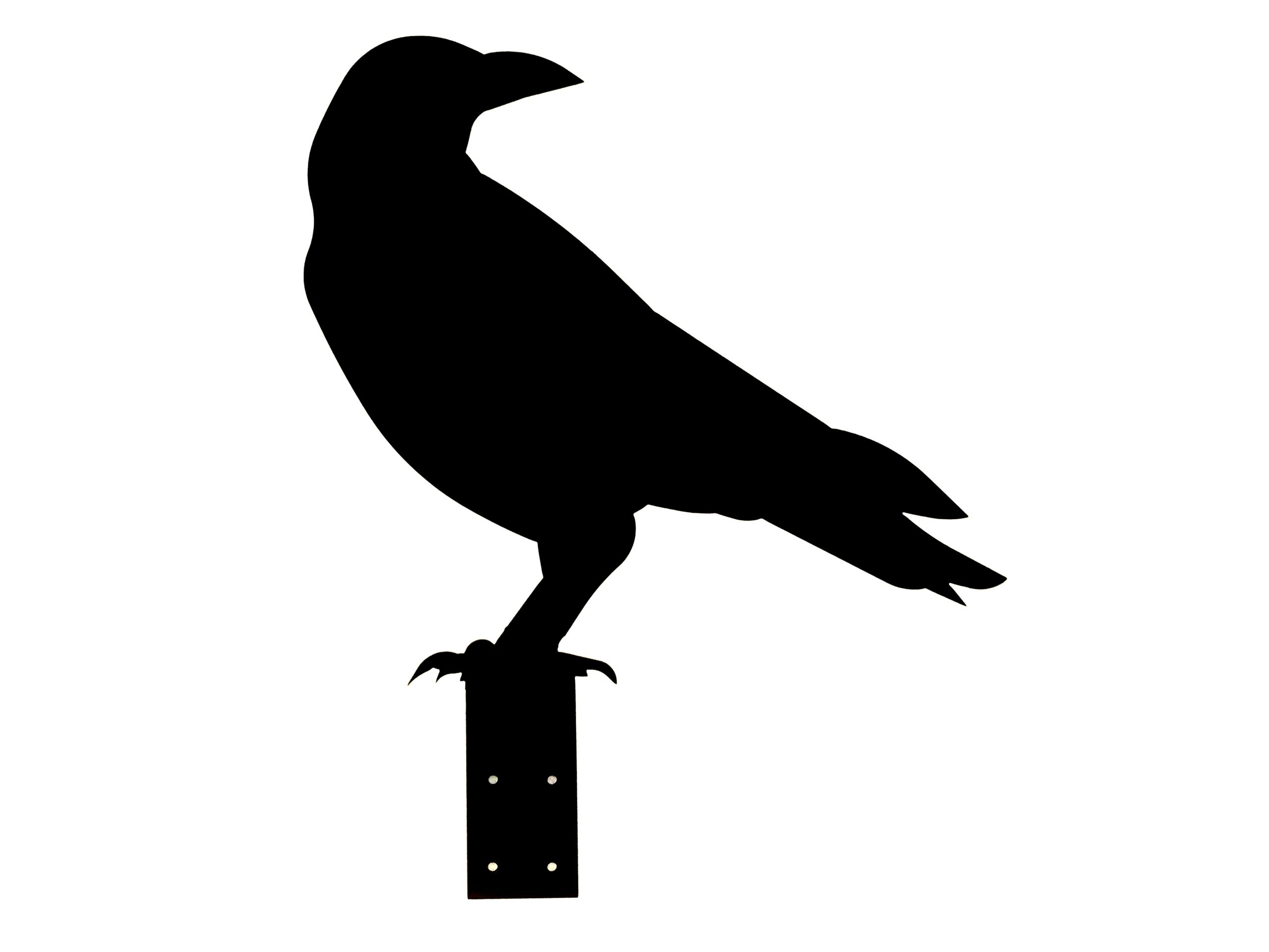 Steel Crow 6 (with mounting handle)