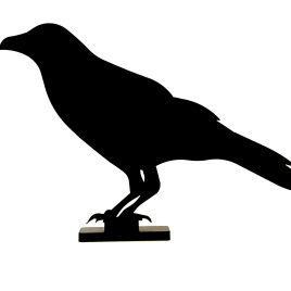Product Image: Steel Crow 5 (on Stand)