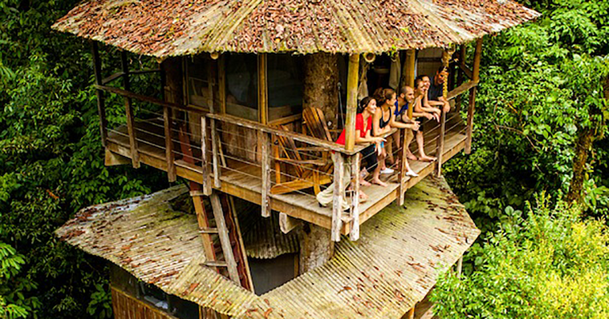 Designed by frank lloyd wright disciple kendrick bangs kellogg, the doolittle house has been meticulously preserved by its current owners by tom morris photography by elizabeth daniels the doolittle house should theoretically be hard to mis. Costa Rica's Top Treehouse Ecolodges (PHOTOS!) â¢ James Kaiser