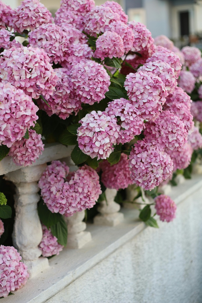 Hamptons real estate