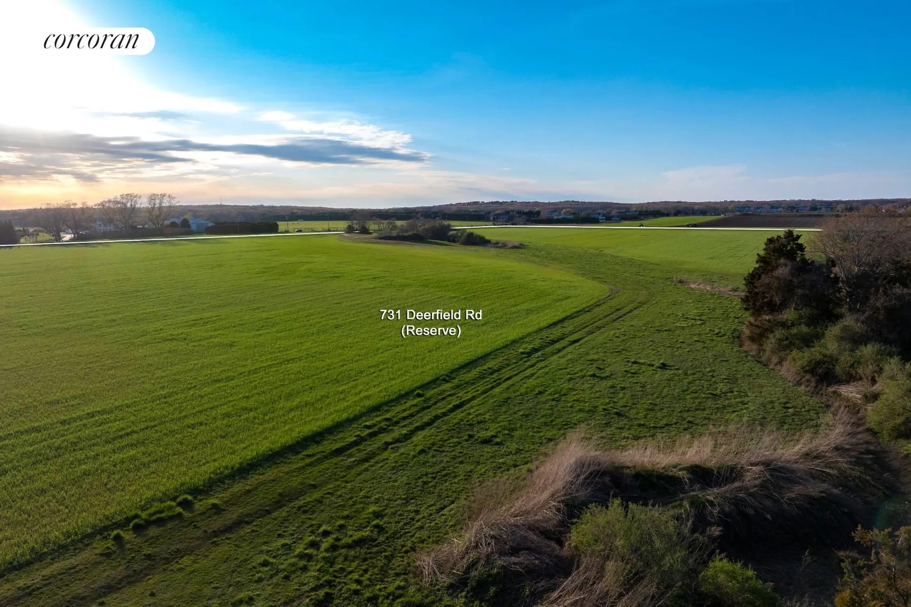 Hamptons Real Estate