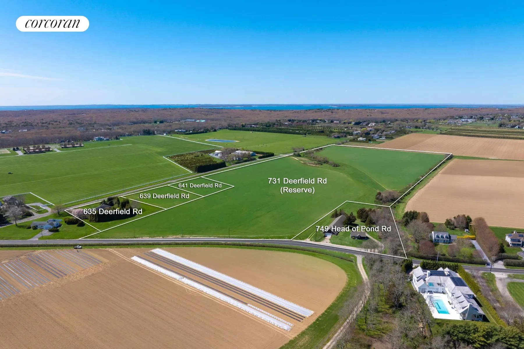 Hamptons Real Estate