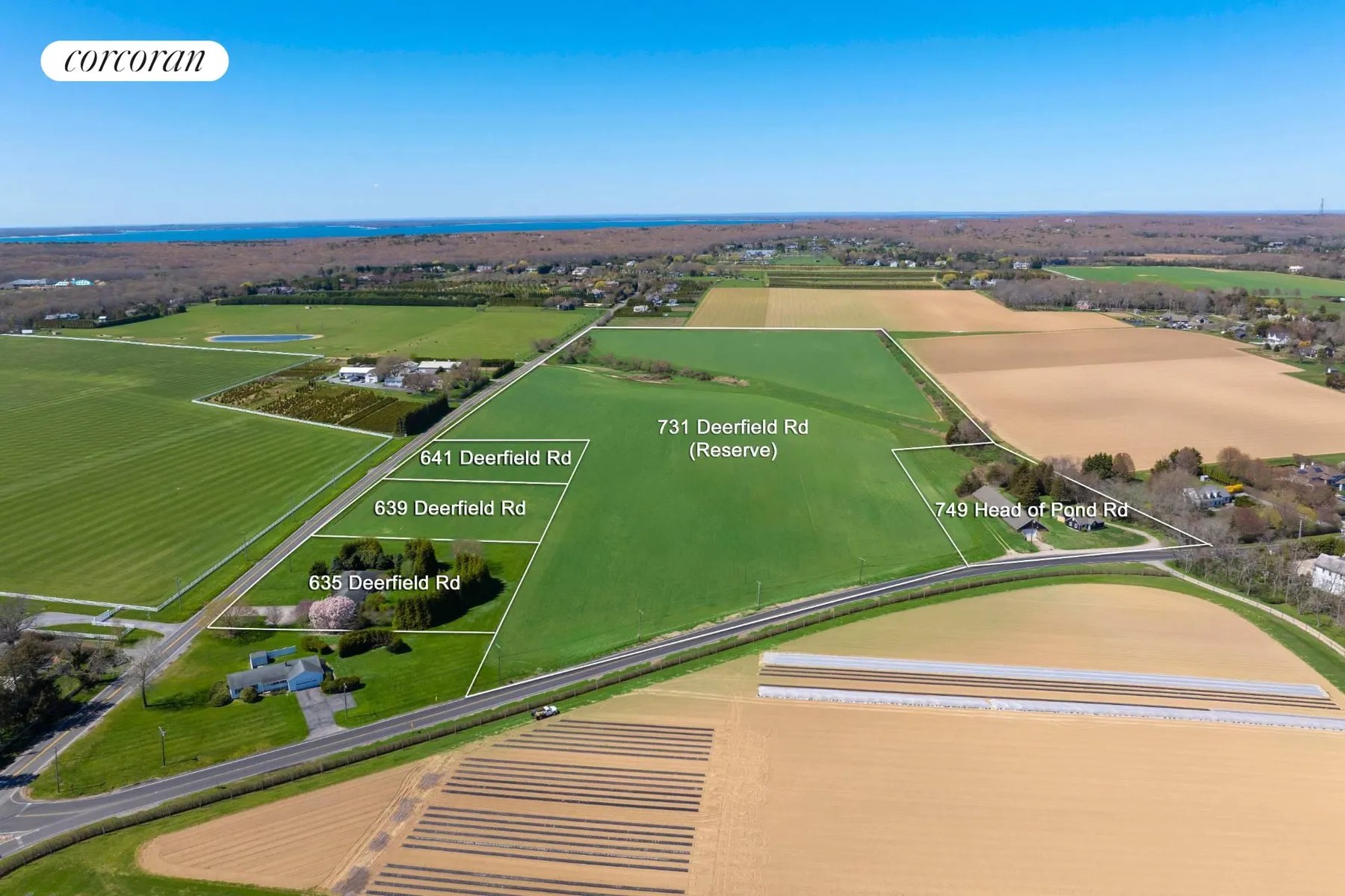 Hamptons Real Estate