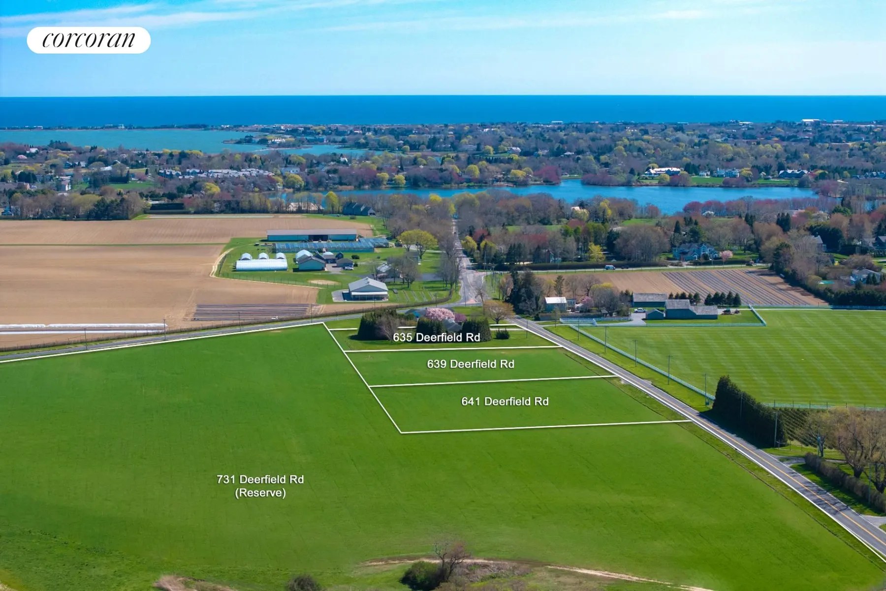 Hamptons Real Estate