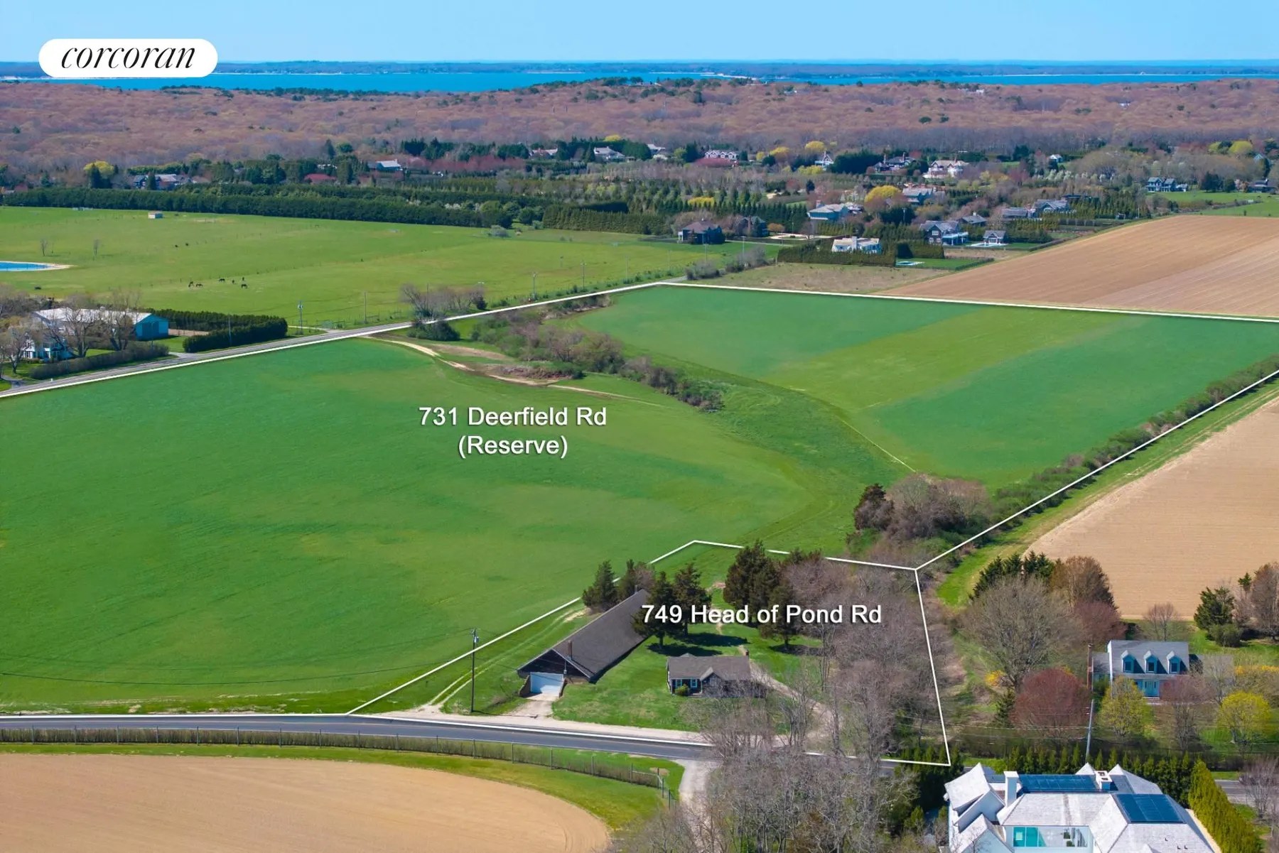 Hamptons Real Estate