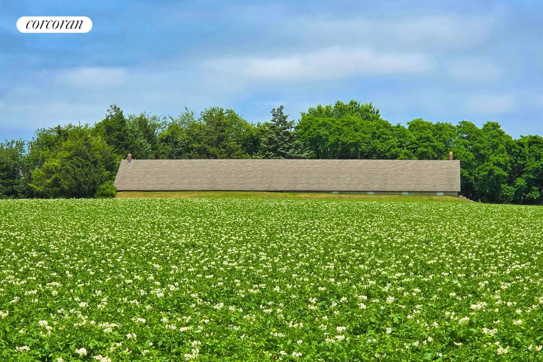 Hamptons Real Estate