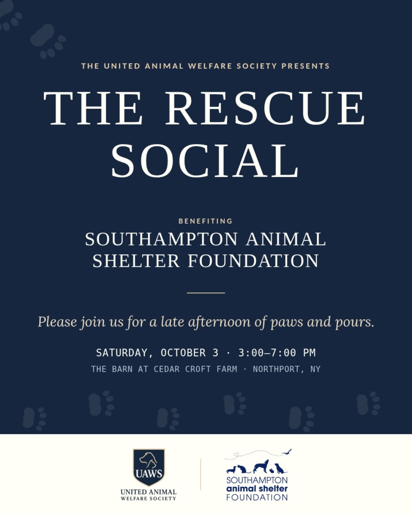 The Rescue Social