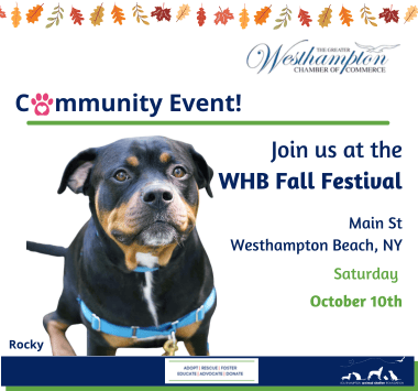 Westhampton Fall Festival