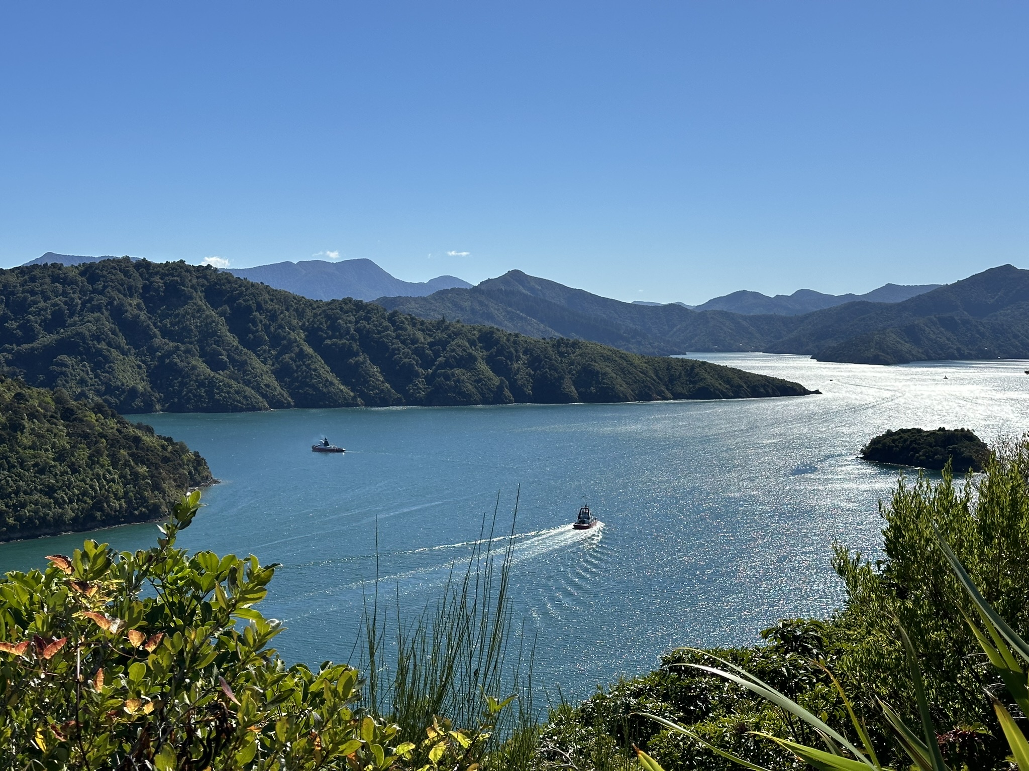 Picton, New Zealand, Snout Track Loop View