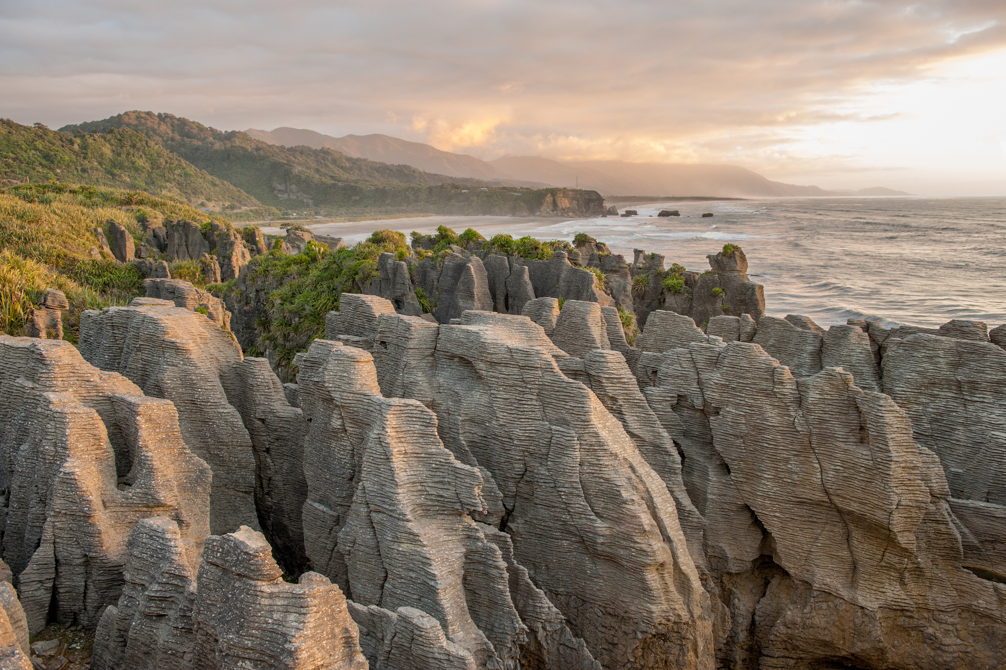 Paparoa National Park