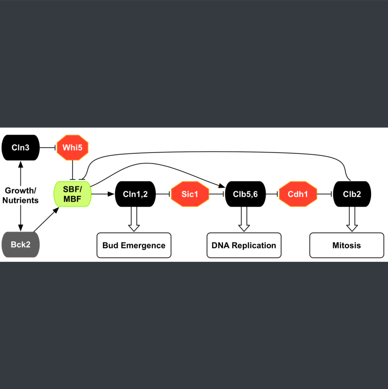 Jananiravi Janani Ravi Github - Landscape Images - Professional Mobile Collection