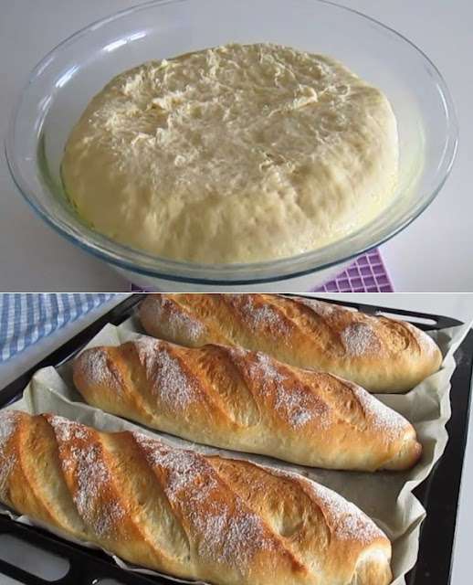 oliiviõl