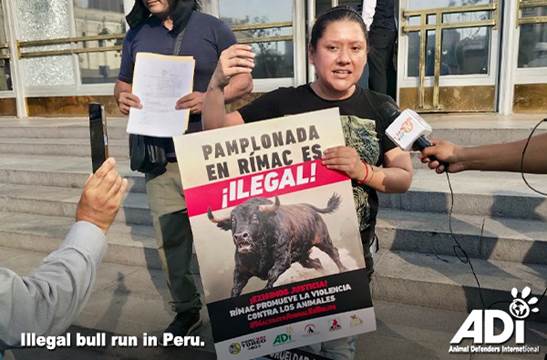 Mujer sostiene un cartel que dice 'Pamplonada en Rímac es ¡ILEGAL!' mientras protesta contra la corrida de toros en Perú.