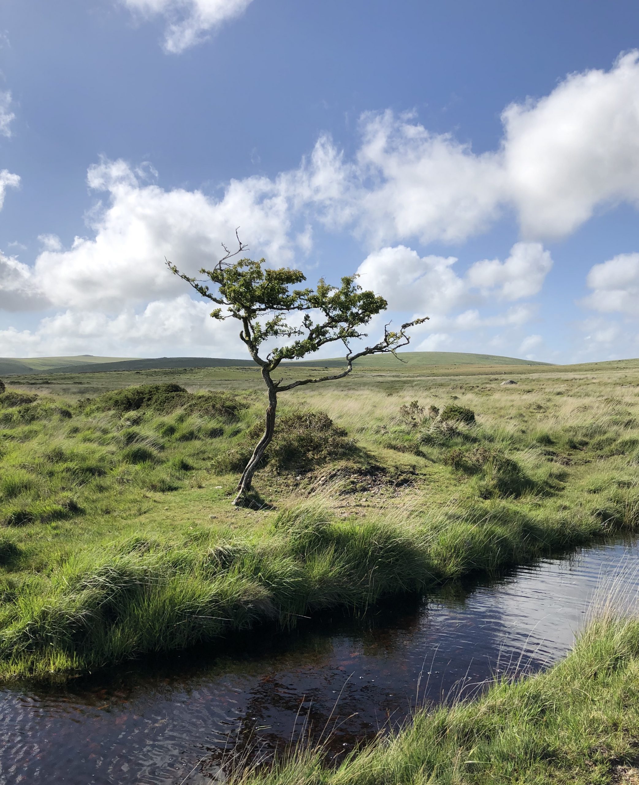 Counselling in Crediton