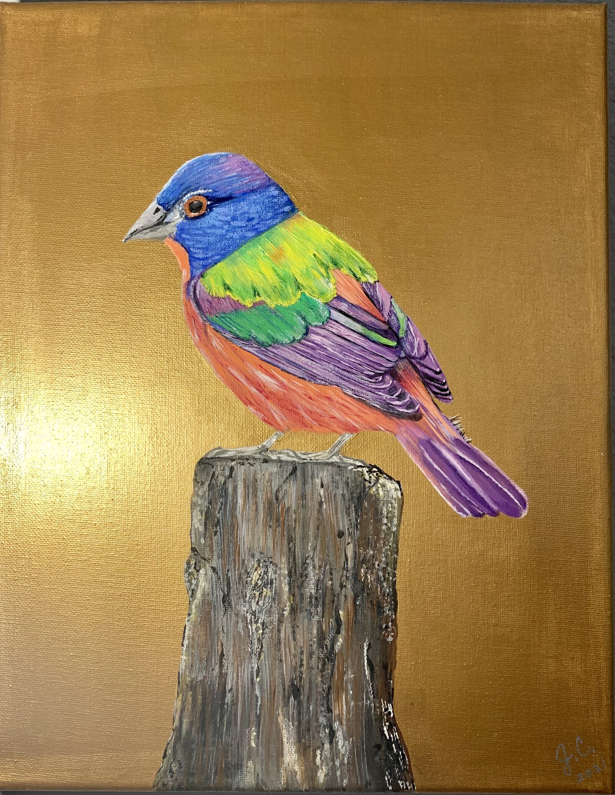 Painted bunting