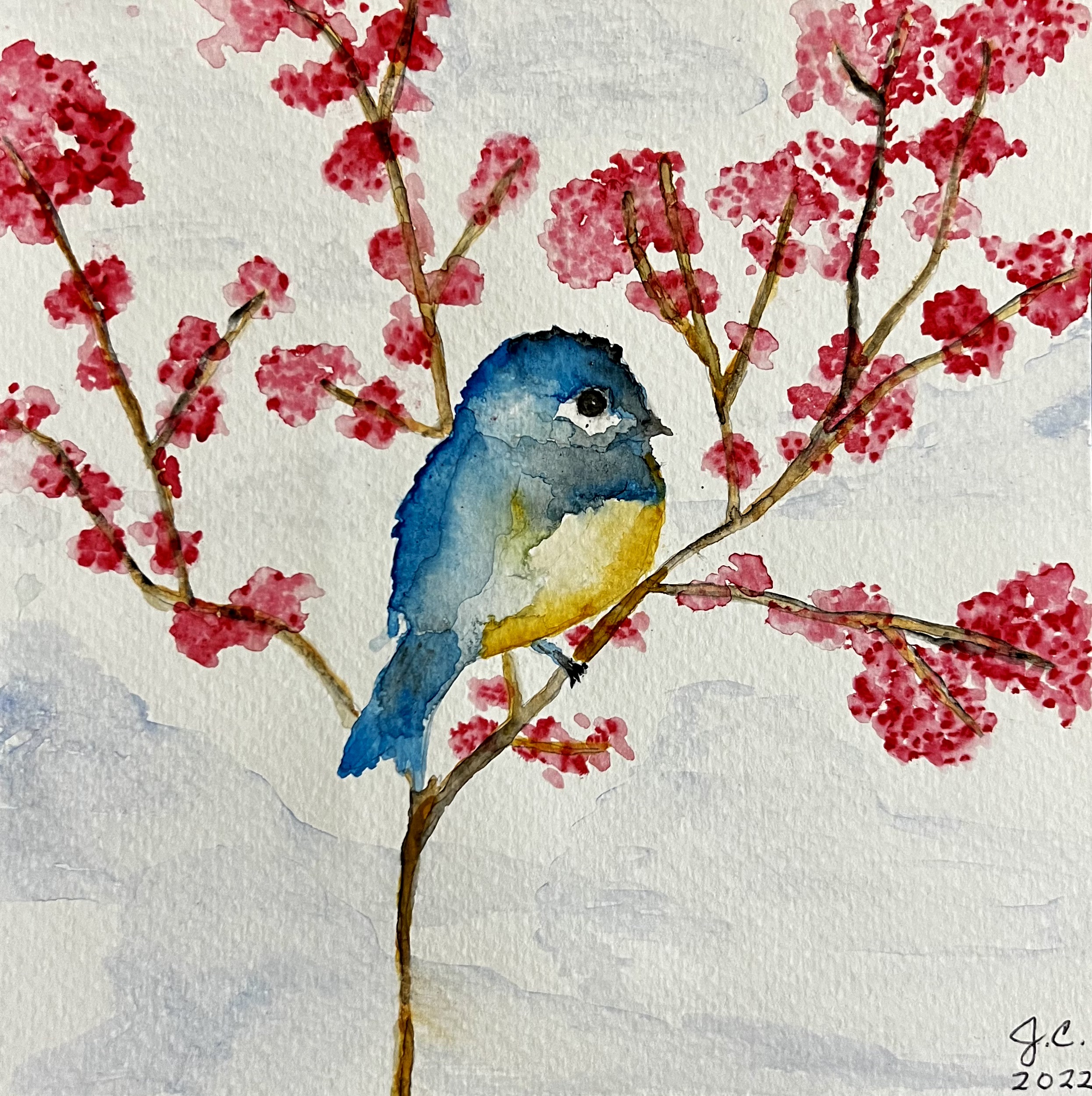 Finch in a cherry tree