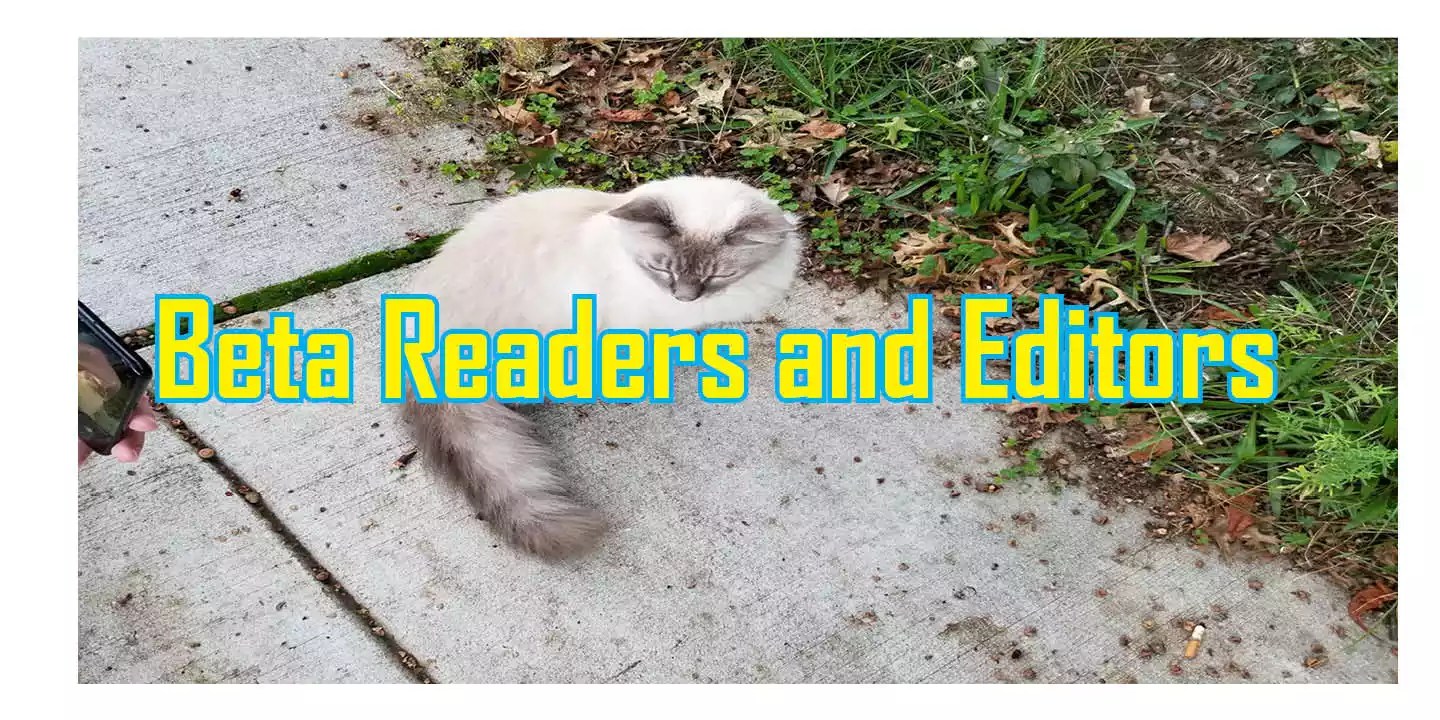 Beta Readers, Editors, Beta Reading, Editing, Beta readers, Beta Reading, Reading, How to Edit a Manuscript, editing part 1, Editing Part 2, choosing, Editing Tips, Beta Reading and Editing, beta reader,