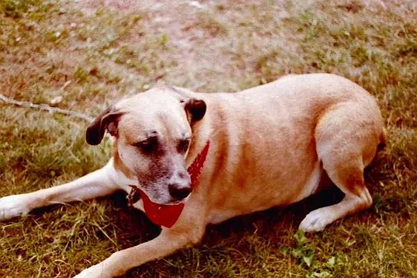 Jake to represent Cynthia