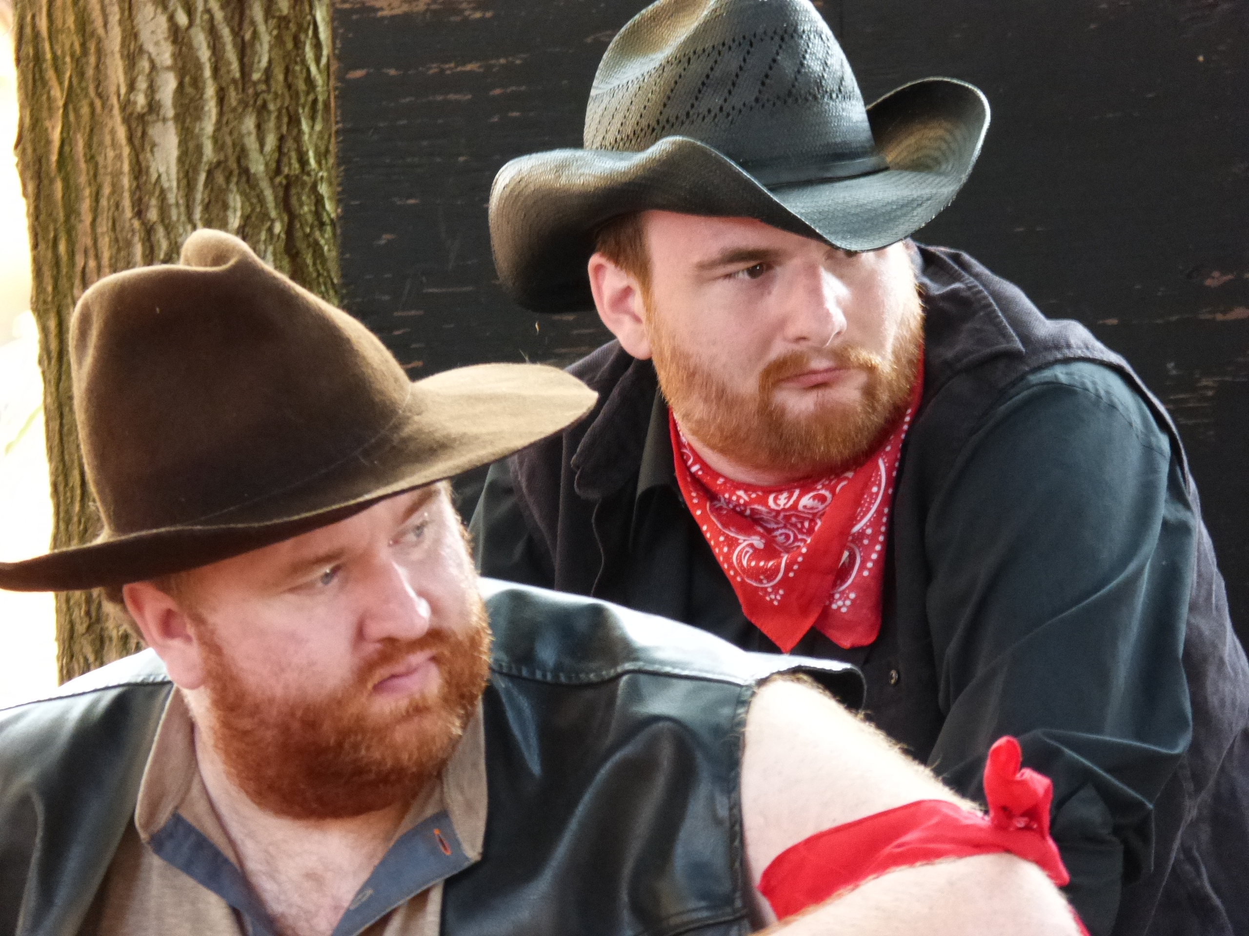 Rattlesnake Gulch (photograph by Laura Story Johnson)