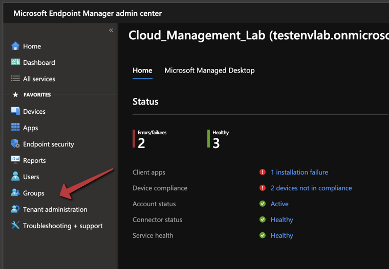 Group Windows 11 Devices with Intune