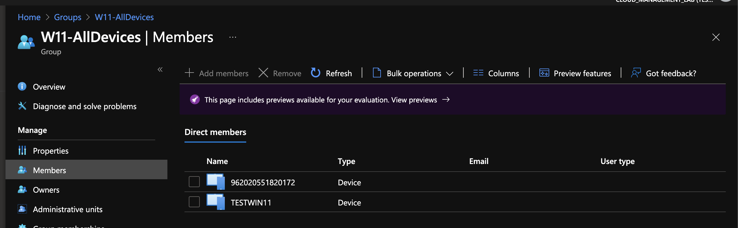 Group Windows 11 Devices with Intune