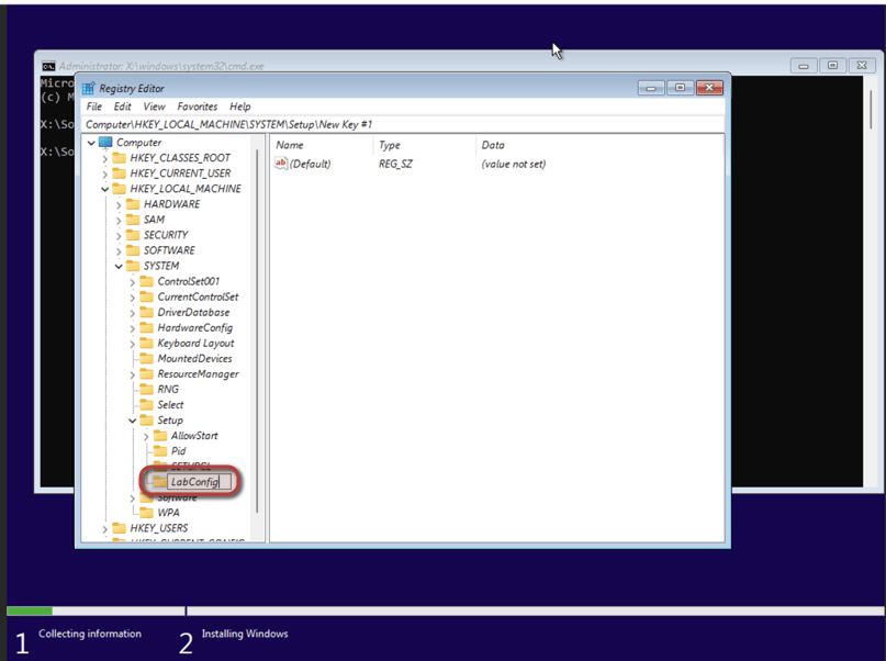 Install Windows 11 without TPM